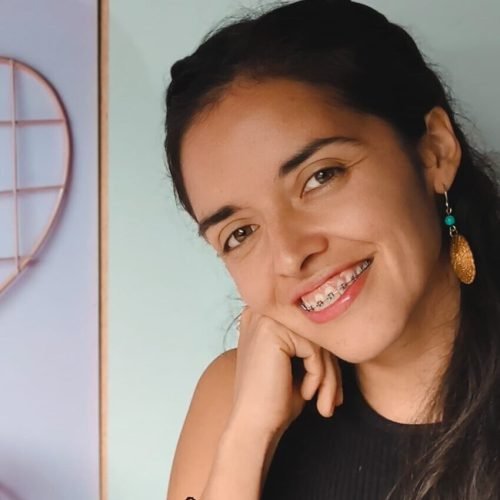 perfil2